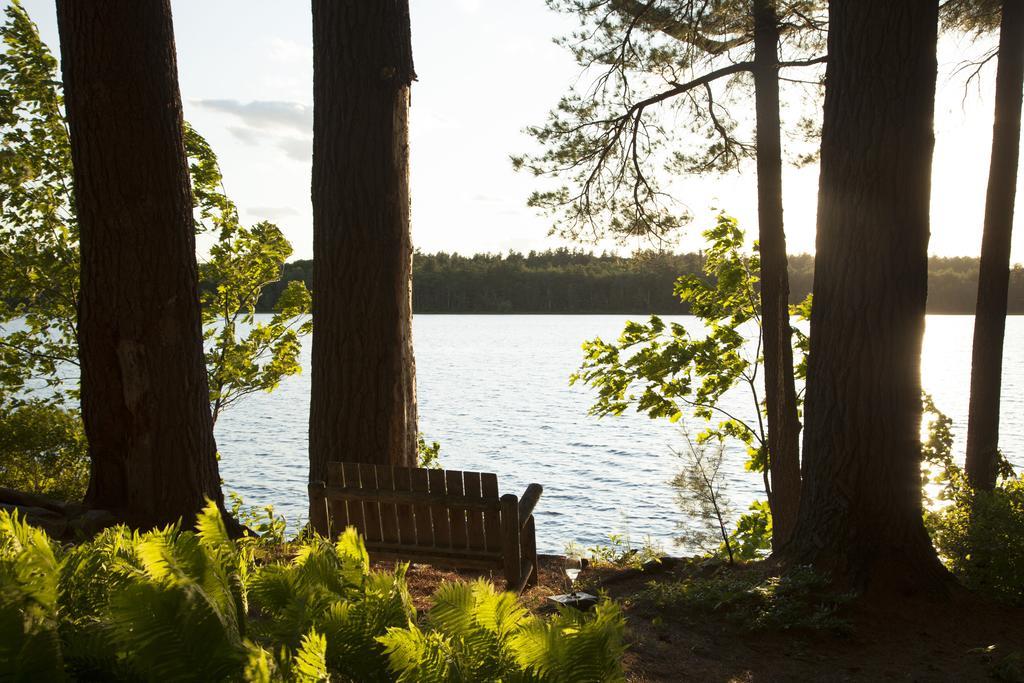 Wolf Cove Inn Poland Extérieur photo
